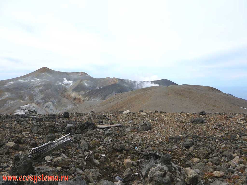 Фумарольные поля на восточном склоне вулкана Эбеко.
Остров Парамушир