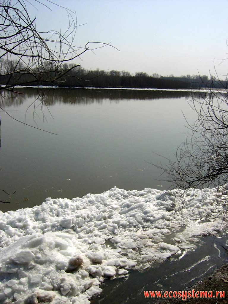 Остаточные забереги - лед, оставшийся на берегу реки Бии после ледохода.
Окраина города Бийска
