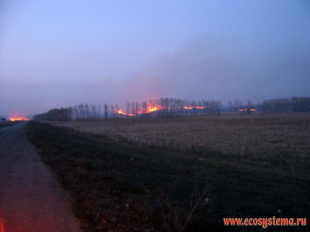 The spring site of fire in steppe. Man-made burning of dry grass and straw - one of the most negative anthropogenic impacts on the steppe.
South to the Biysk town, steppe zone, Altai (Altay) region (Altaisky Krai)
