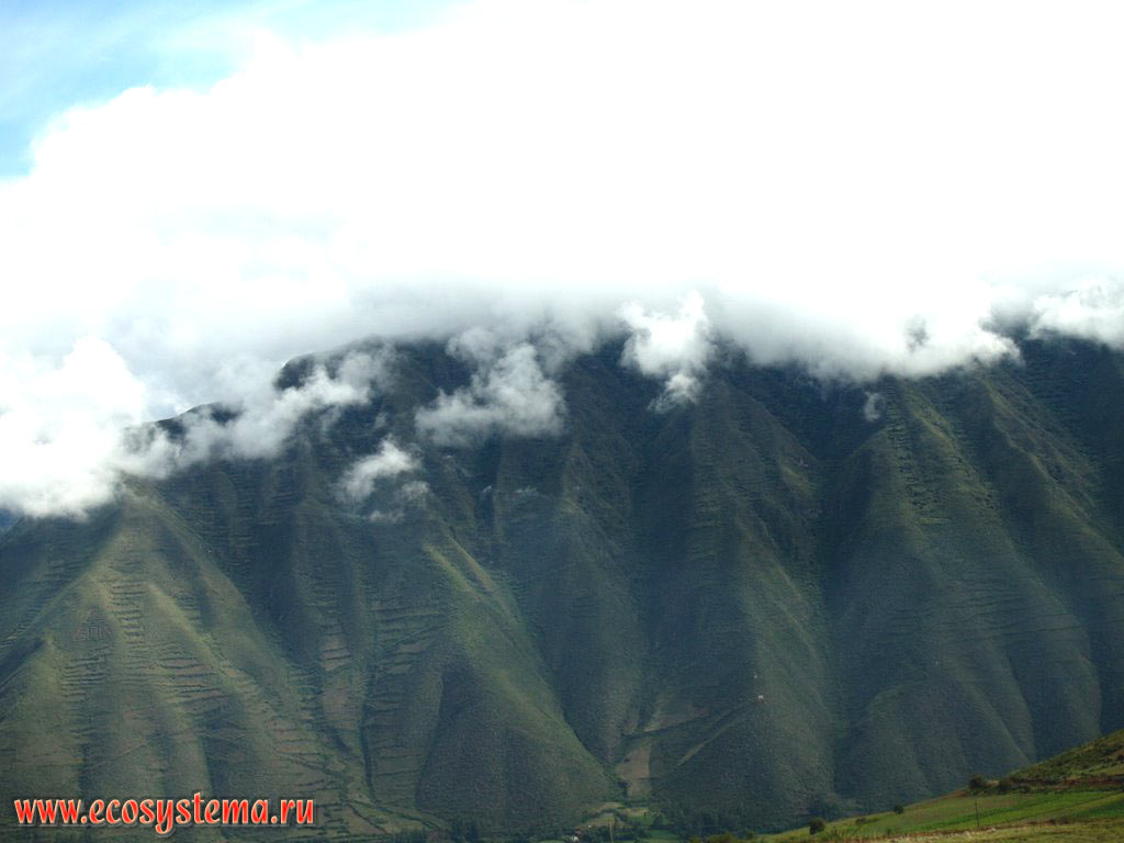 Склоны гор (горной цепи) Восточная Кордильера по дороге из Куско в Мачу-Пикчу.
Высота вершин (в облаках) - около 3500 м над уровнем моря. Горная система Центральных Анд, или Сьерра, департамент Куско, Перу