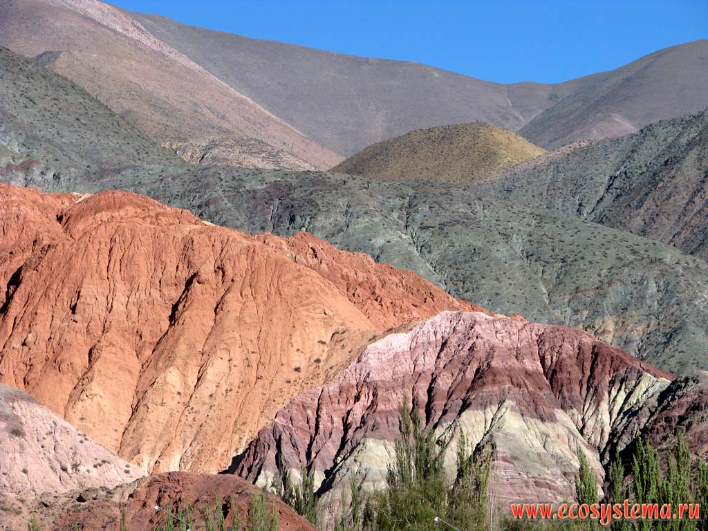 Семицветные горы (Сиерра де Лос Сьете Колорес) недалеко от селения Пурмамарка.
Восточные склоны Андийского плоскогорья. Высота - около 1200 м над уровнем моря.
Прекордильеры, провинция Жужуй, северо-запад Аргентины недалеко от границы с Боливией