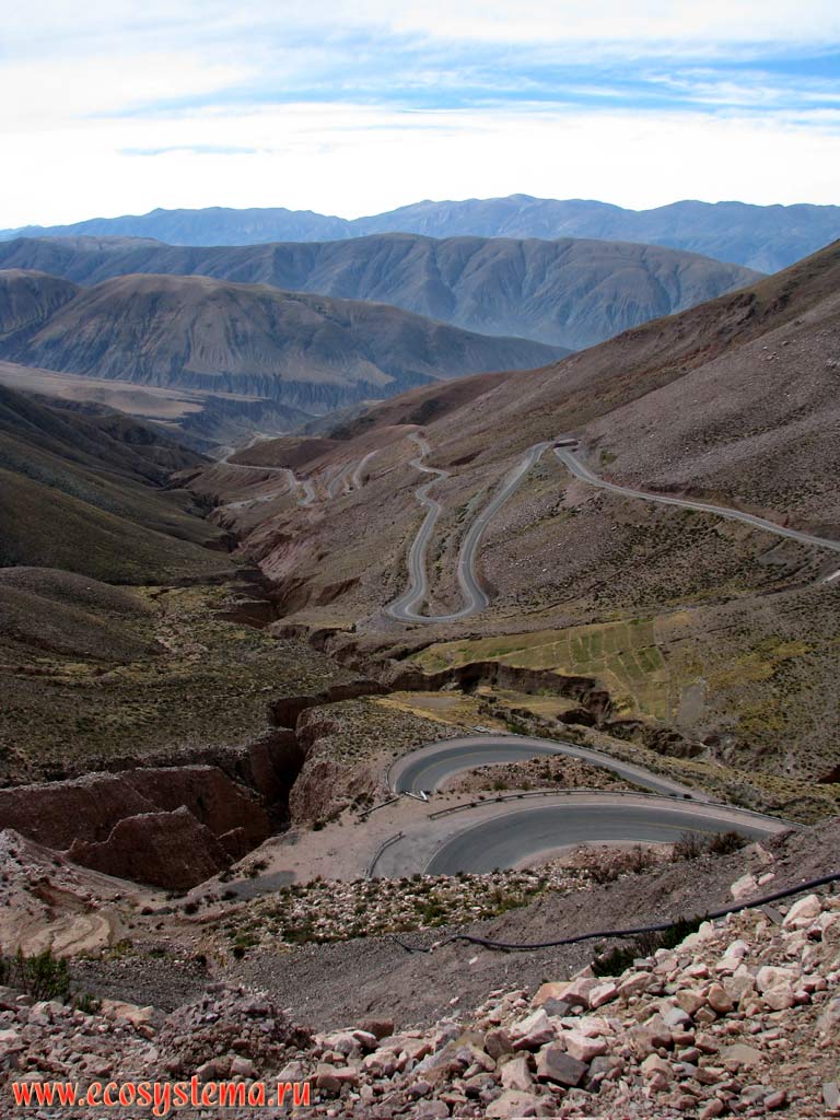 Сухая пуна, или альтиплано - ландшафтный комплекс каменистых высокогорных пустынь
(холодных пустынь на вершинах) и полупустынных сухих степей на границе Аргентины,
Боливии и Чили (3500 м над уровнем моря). Восточные склоны Андийского плоскогорья.
Прекордильеры, провинция Жужуй, или Хухуй (северо-запад Аргентины на границе с Боливией)