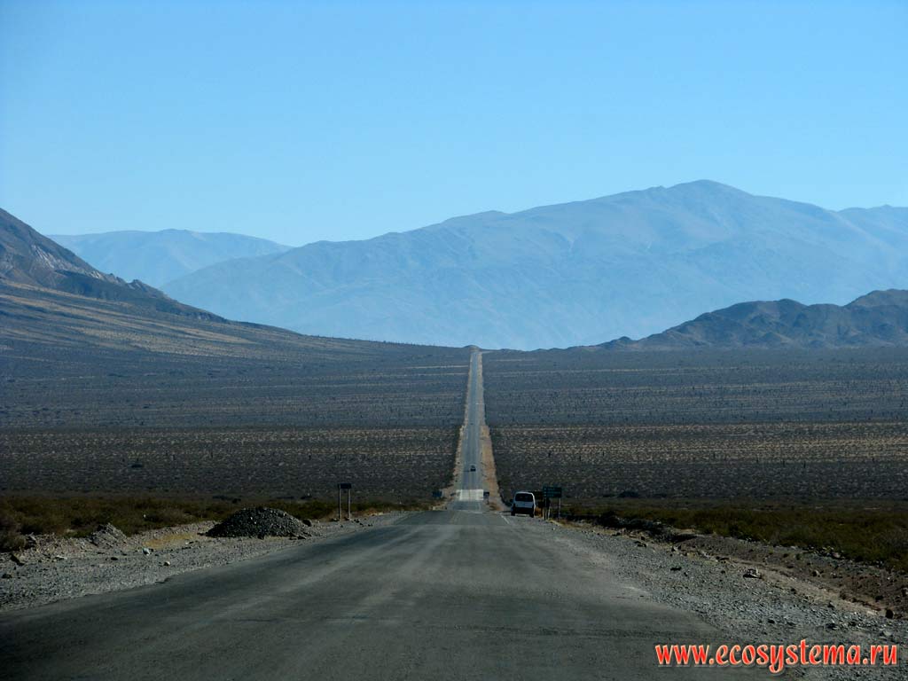 Дорога в Качи (из провинции Кордова в провинцию Сальта).
Сухая пуна, или альтиплано - ландшафтный комплекс каменистых высокогорных пустынь (холодных пустынь на вершинах) и полупустынных сухих степей.
Высота - около 3500 метров над уровнем моря. Андийское плоскогорье. Прекордильеры, провинция Сальта (северо-запад Аргентины)