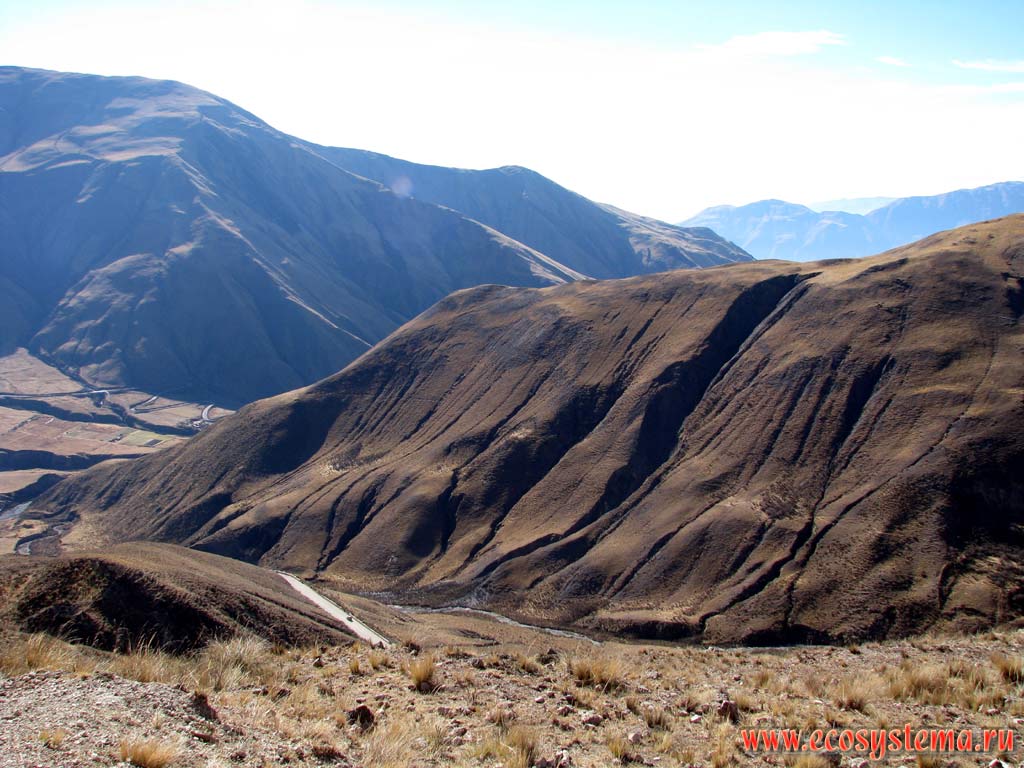 Сухая пуна, или альтиплано - ландшафтный комплекс каменистых высокогорных пустынь (холодных пустынь на вершинах) и полупустынных сухих степей.
Высота - около 3500 метров над уровнем моря. Андийское плоскогорье. Прекордильеры, провинция Сальта (северо-запад Аргентины)