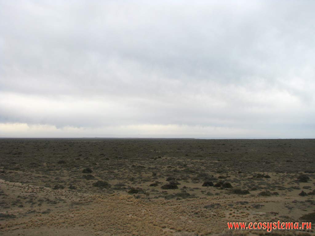 Типичный ландшафт Патагонского плато - сухая степь с преобладанием злаков и жестких подушкообразных кустарников.
Берег Атлантического океана. Провинция Чубут, юго-восточная Аргентина