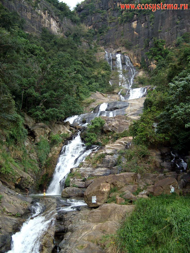 Водопад в горах Центрального массива (юг острова), покрытых влажными тропическими лесами
субэкваториального пояса. Остров Шри-Ланка, Центральная провинция, окрестности города Канди (Kandy)
