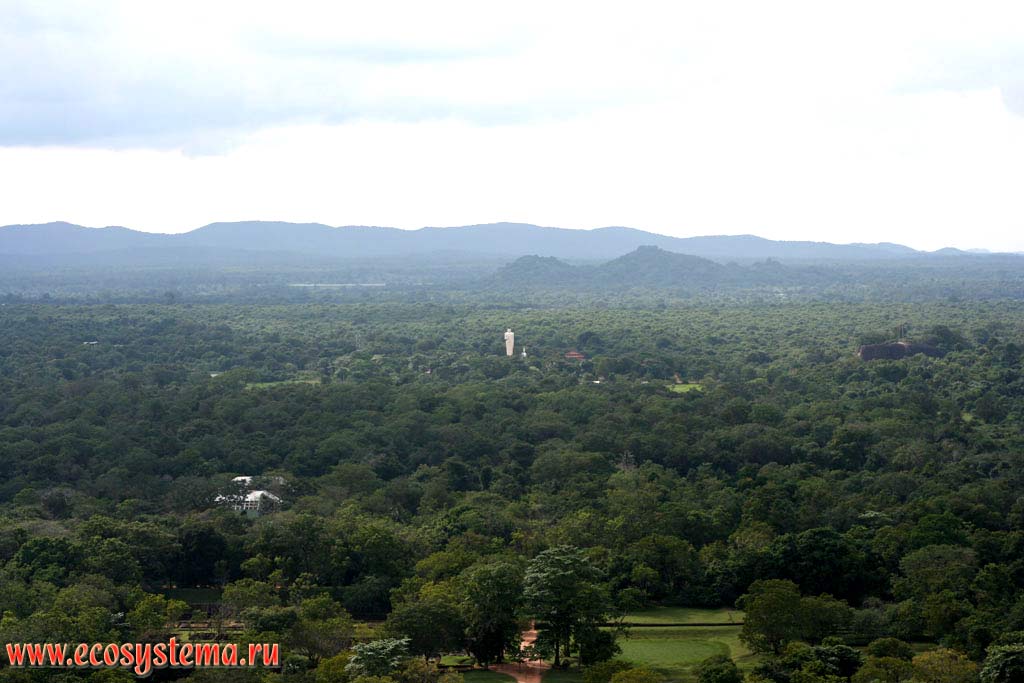 View to the Sigiriya village surroundings and humid tropical subequatorial forest. Sri Lanka Island, Central Province, Matala area