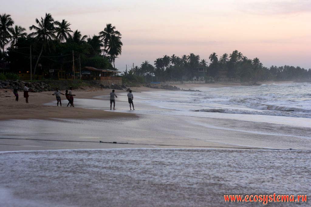 Восход солнца на берегу Индийского океана. Рыбаки вытаскивают сети. Остров Шри-Ланка, Южная провинция, Тангалле (Tangalle)