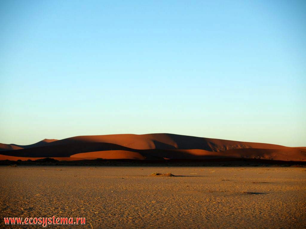 Sandy dunes (ridges) in the Namib Desert. Sossusvlei area, NamibRand Nature Reserve, Namib-Naukluft National Park, South African Plateau, Central Namibia