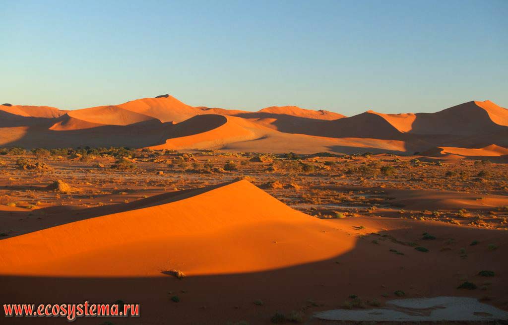 Типичные песчаные барханы - справа наветренные склоны (откуда дует ветер), справа - подветренные склоны (где скапливаются эоловые отложения).
Соссусвлей (Сосусвли), заповедник Намиб Рэнд (NamibRand Nature Reserve), национальный парк Намиб-Науклюфт (Namib-Naukluft National Park),
Южно-Африканское плоскогорье, центральная Намибия