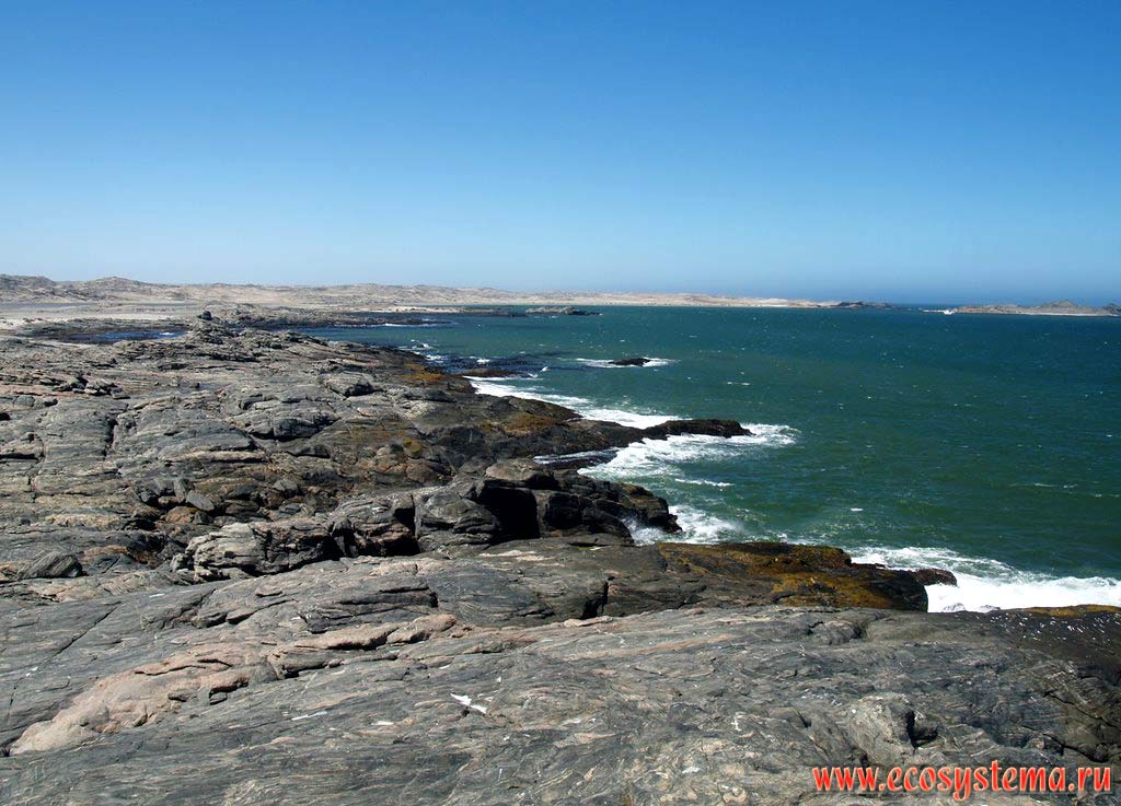 The erosion shore (the scarp) of the Atlantic ocean. African West coast, Southern Namibia, Luderitz area