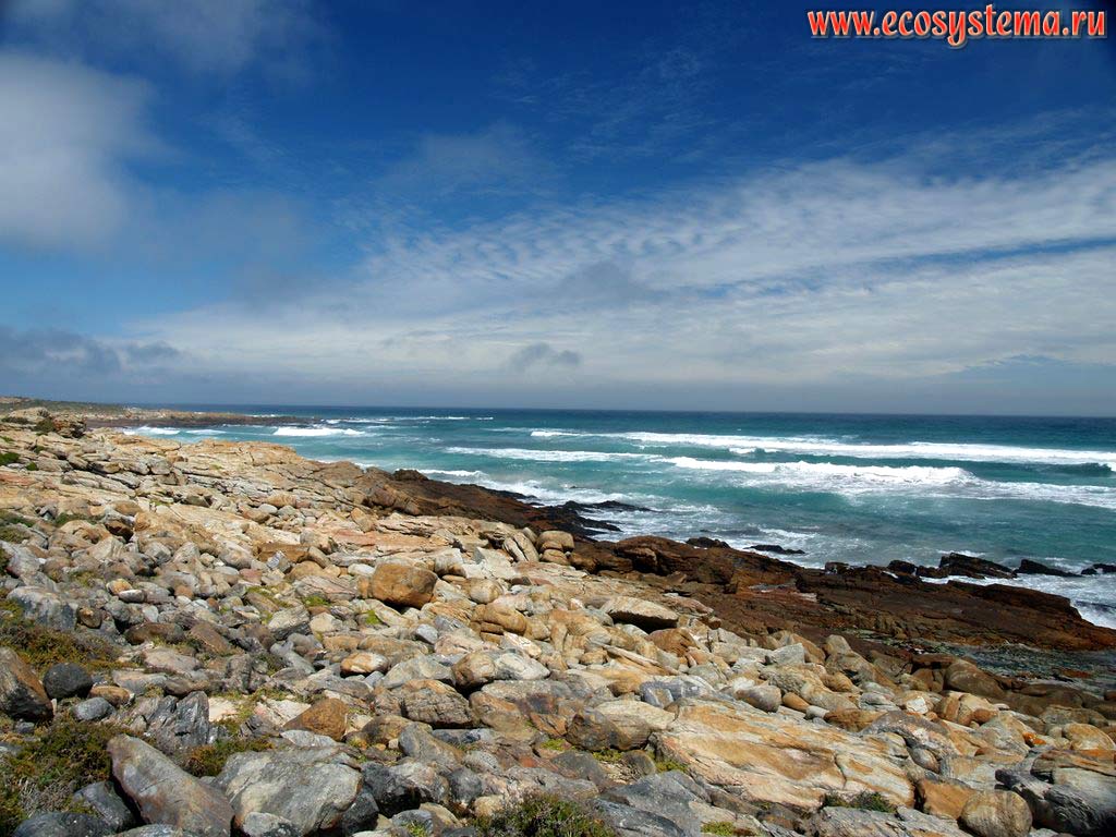 Берег Атлантического океана в районе мыса Доброй Надежды (Cape of Good Hope). Южная Африка, южное побережье ЮАР