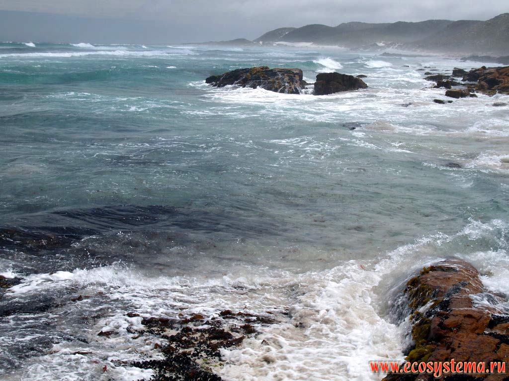 The surf zone of the Atlantic Ocean on the Cape of Good Hope. South coast of South African Republic