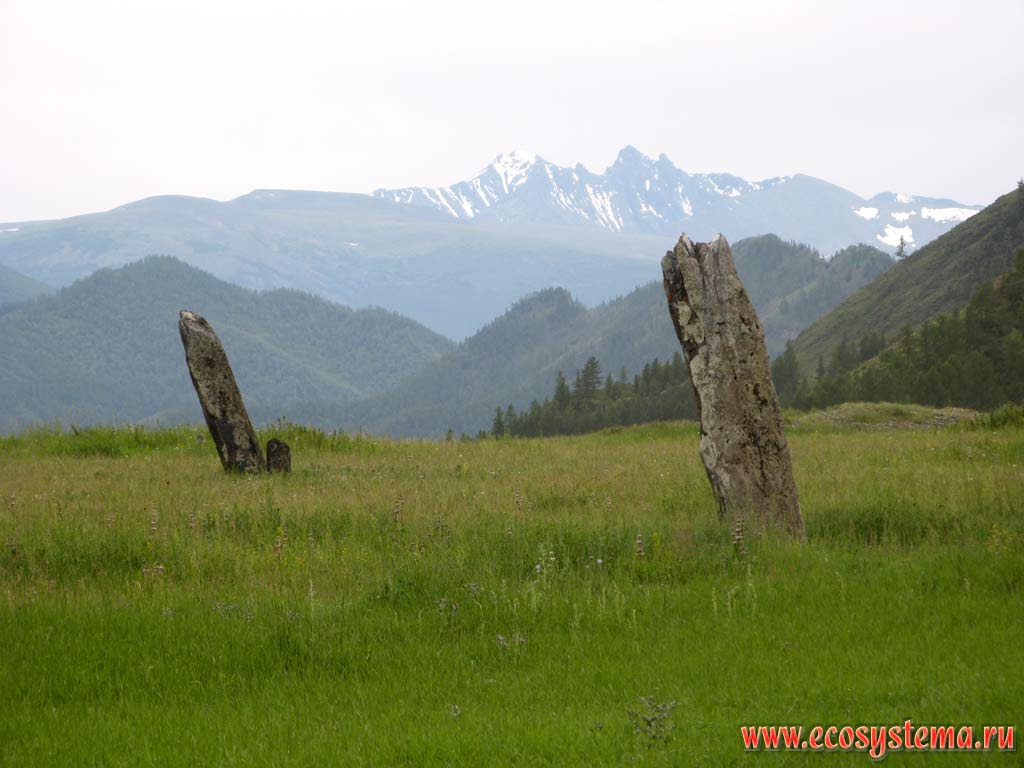 Stone women (idols), or Kezer tash in Karakol valley surrounded by grassmeadow steppe. Karakol Nature Park Uch-Enmek, Ongudansky District, Altai Republic