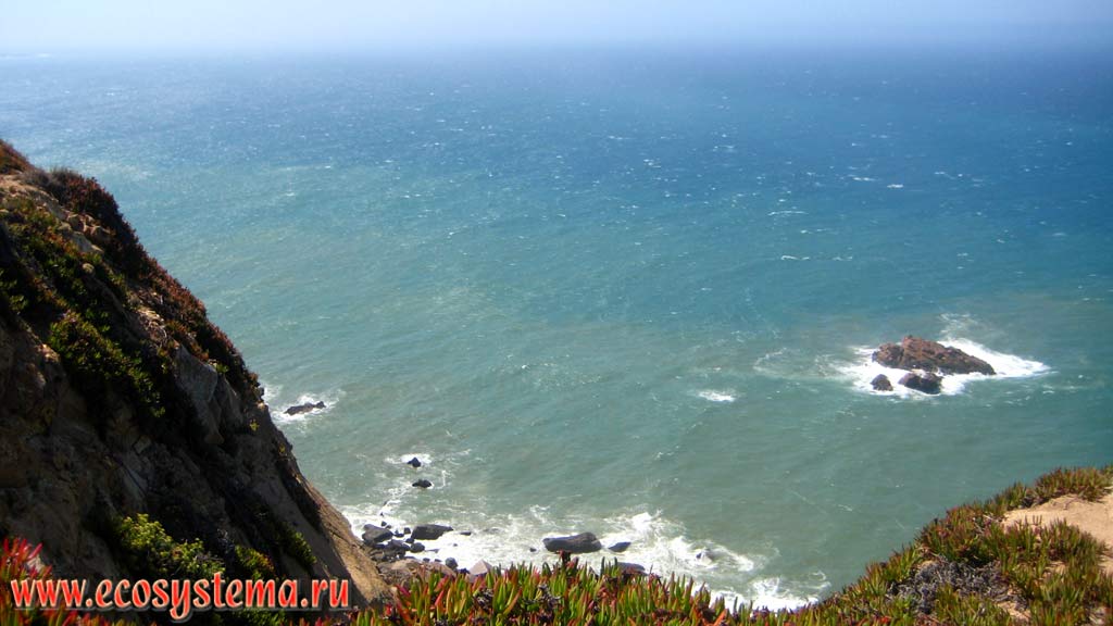 Высокие обрывы (клифы) на берегу Атлантического океана в районе мыса Роко (Cabo da Roca). Национальный парк Синтра-Кашкайш (Sintra-Cascais)
на западном побережье Португалии. Пиренейский полуостров