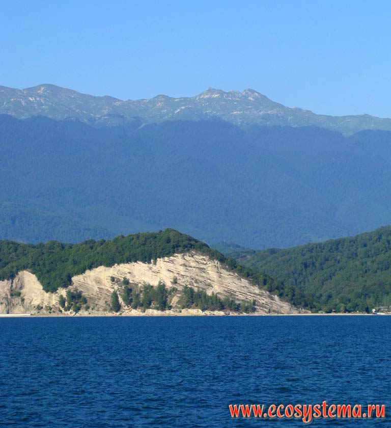 Black Sea coast, with outcrops of bedrock (cliffs) overgrown with the coniferous forest from pine (Pinus pityusa). Far away - Bzybsky ridge with distinct altitudinal zones: deciduous and coniferous forests at an altitude of 2,500 meters above sea level are replaced by the Alpine belt. Western Caucasus, the Republic of Abkhazia