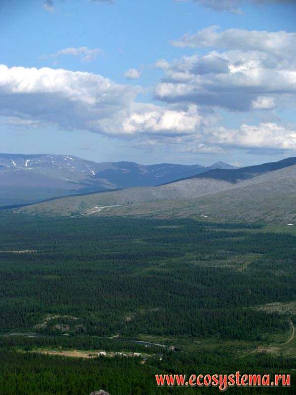 Typical landscape of the Subpolar Urals: coniferous forests in the intermountain basin (at an altitude of 500-700 m above sea level) replacing with the mountain tundra on the mountain slopes. Subpolar Urals, Yugyd-Va National Park, the Komi Republic