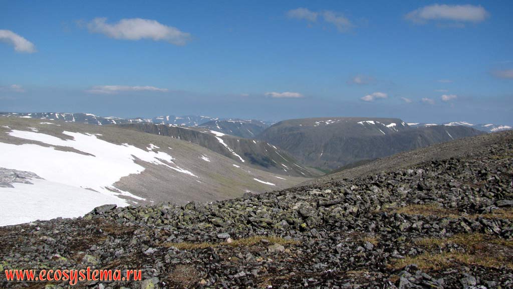 Nival belt with sparse vegetation of mountain tundra. Height is about 900 m above sea level. Subpolar Urals, Yugyd-Va National Park, the Komi Republic