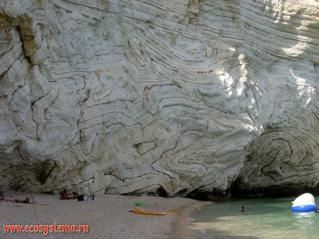 The folds of the metamorphic rocks (quartzite and limestone alternation) on the Adriatic coast. Gulf of Manfredonia on the peninsula of Gargano, near the town of Baia delle Zagare. Gargano National Park, province of Foggia, Apulia (Puglia) Region, Southern Italy