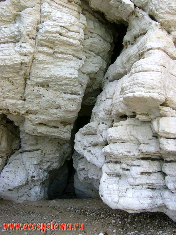 The folds of the metamorphic rocks on the Adriatic coast. Gulf of Manfredonia on the peninsula of Gargano, near the town of Baia delle Zagare. Gargano National Park, province of Foggia, Apulia (Puglia) Region, Southern Italy