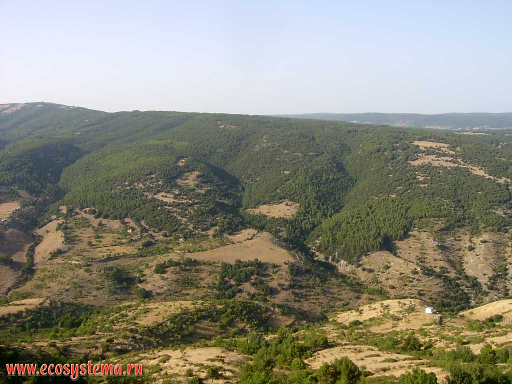 Mixed forests with predominance of pine, beech and oak in the highlands of the Gargano peninsula. Panorama of the town of Monte Sant' Angelo - the place of the Archangel Michael three times appearance. Gargano National Park, province of Foggia, Apulia (Puglia) Region, Southern Italy