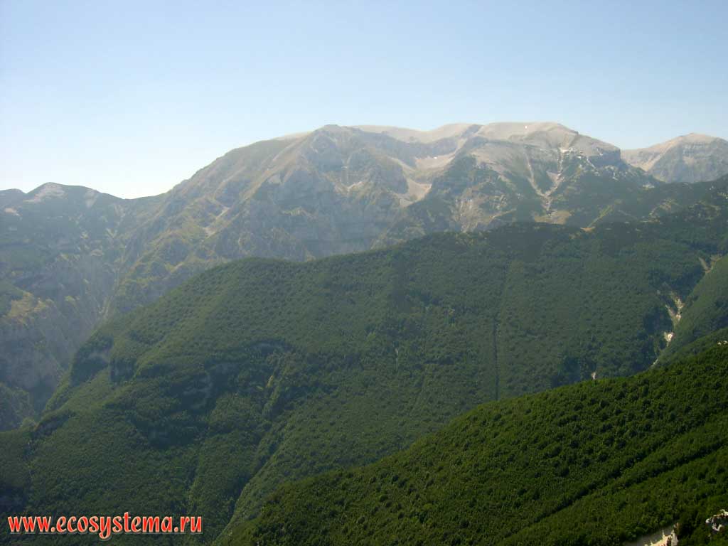 High-altitudinal zone on top of the mountain massif of Della Maiella (Central Apennines): coniferous forests and pine elfin zone changing by subalpine meadows at altitudes of about 2500 above sea level. Away - Mount Monte Amaro (Monte Amaro Majella, height is 2793 m), Maiella National Park, province of Pescara, Abruzzo Region, Central Italy