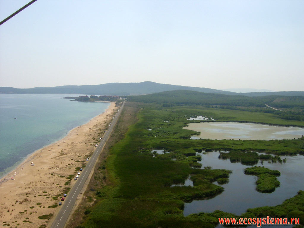 The coast of the Black sea from a bird's-eye view: natural, i.e. not affected by anthropogenic transformations sandy beach with dunes and freshwater marshy lakes overgrown with reeds