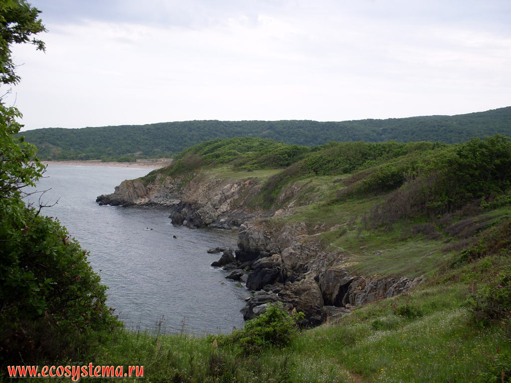 Скалистый абразионный берег Чёрного моря с клифами и небольшими бухтами в природном парке Ропотамо