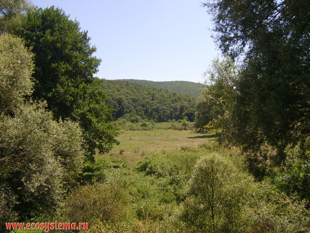 Дубовый широколиственный лес с участками сельскохозяйственных полей и выпасов на территории низкогорного массива Странджа