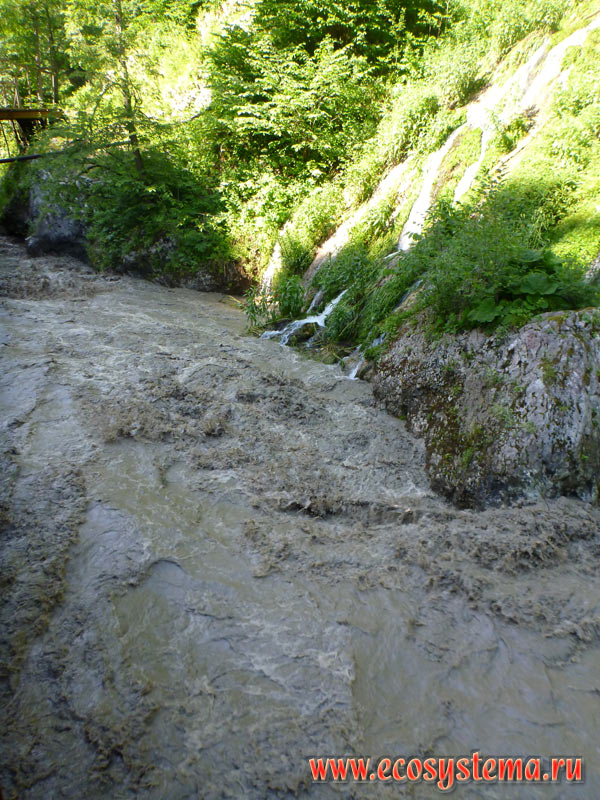 Русло горной реки Фиагдон с бурно текущей грязной водой в период летнего снеготяния в горах Большого Кавказа