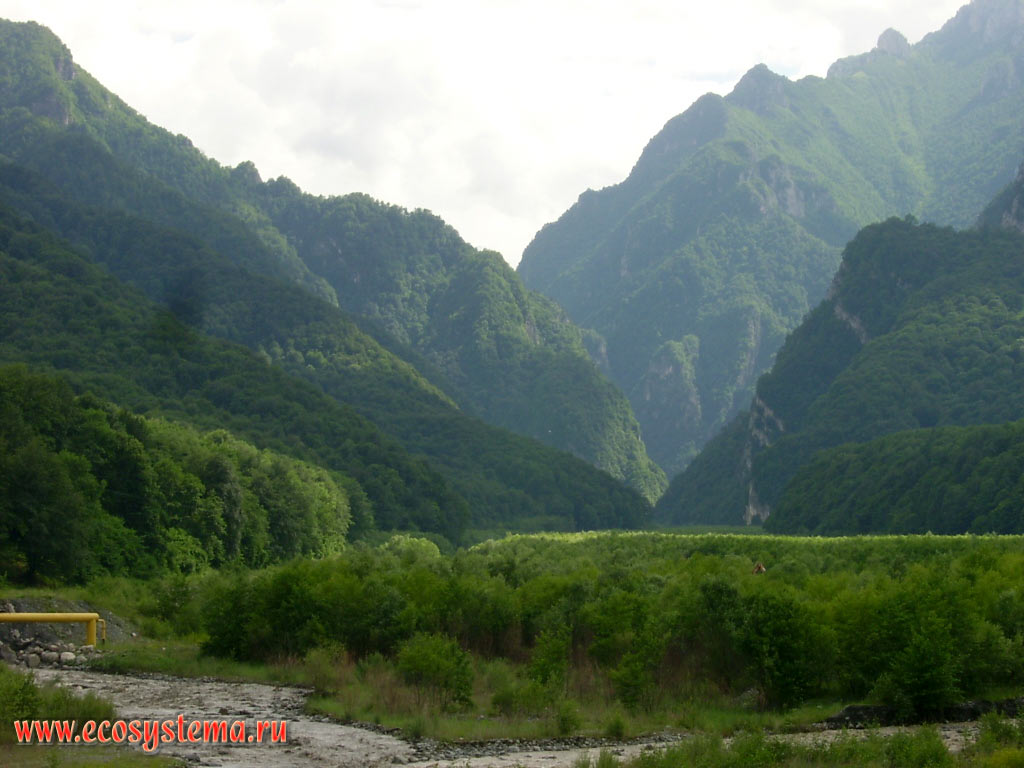 Русло небольшой реки - притока реки Фиагдон, вытекающей из ущелья в предгорьях Большого Кавказа, покрытых широколиственными лесами
