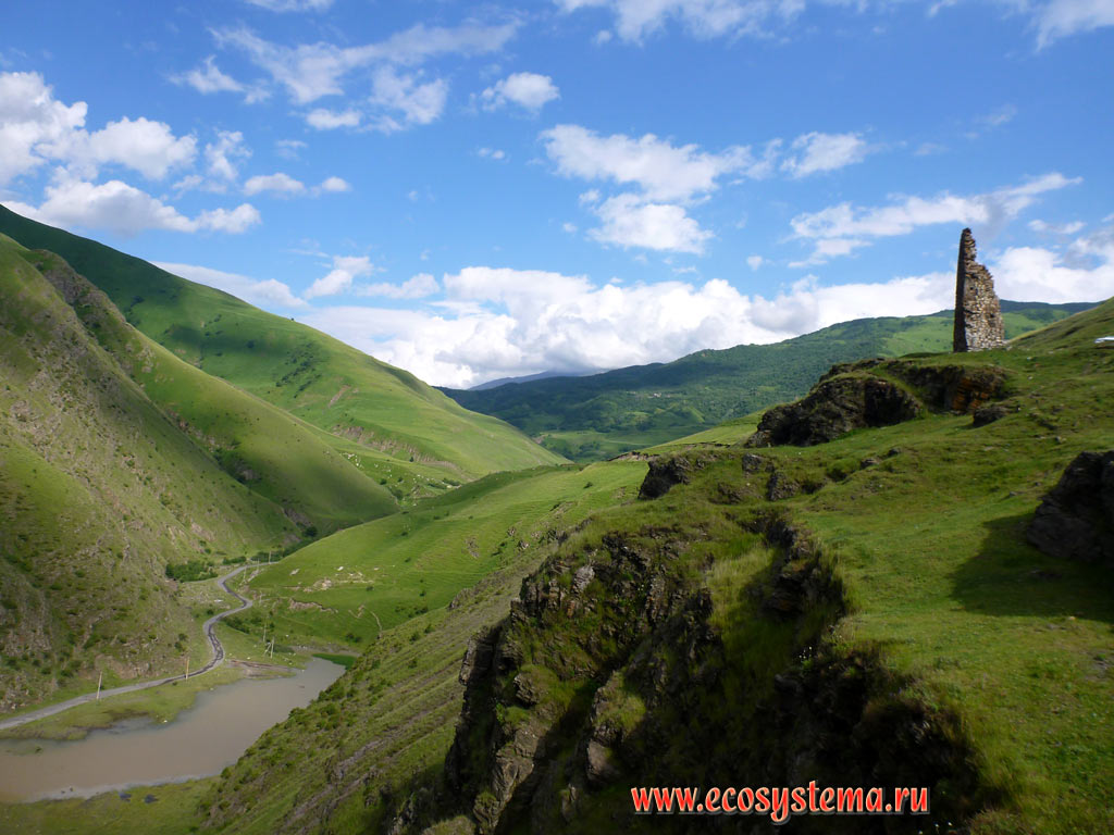 The valley of the river Fiagdon with subalpine and Alpine meadows and ruins of the watchtower on the outskirts of the village of Upper Fiagdon in the foothills of the Greater Caucasus