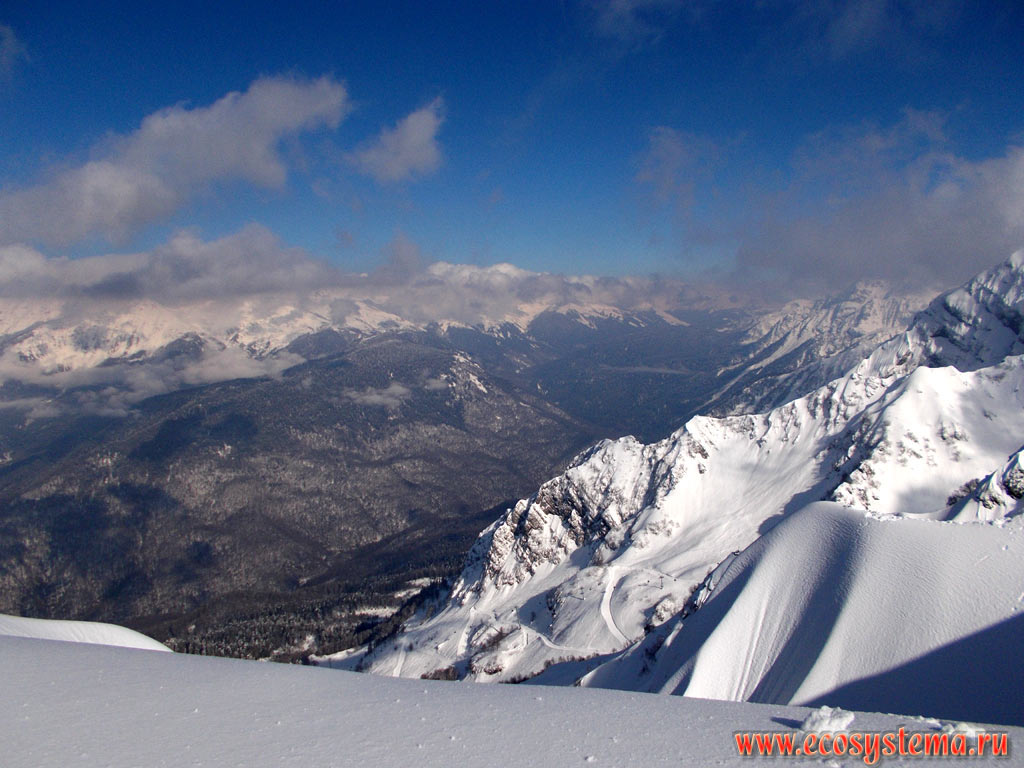 Альпийский пояс гор - зона субальпийских и альпийских лугов в верхней высотной части горного хребта Аибга (на переднем плане) и широколиственные леса в предгорьях горной системы Западного Кавказа на территории Сочинского национального парка