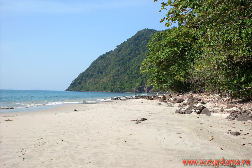 Sandy beach Ao Son on the West Central part of the Tarutao Island (Koh Tarutao), on the coast of the Malacca Strait of Andaman Sea