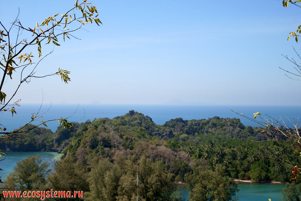 Tropical rainforest on the coastal capes of Tarutao Island (Koh Tarutao) in the Malacca Strait of Andaman Sea