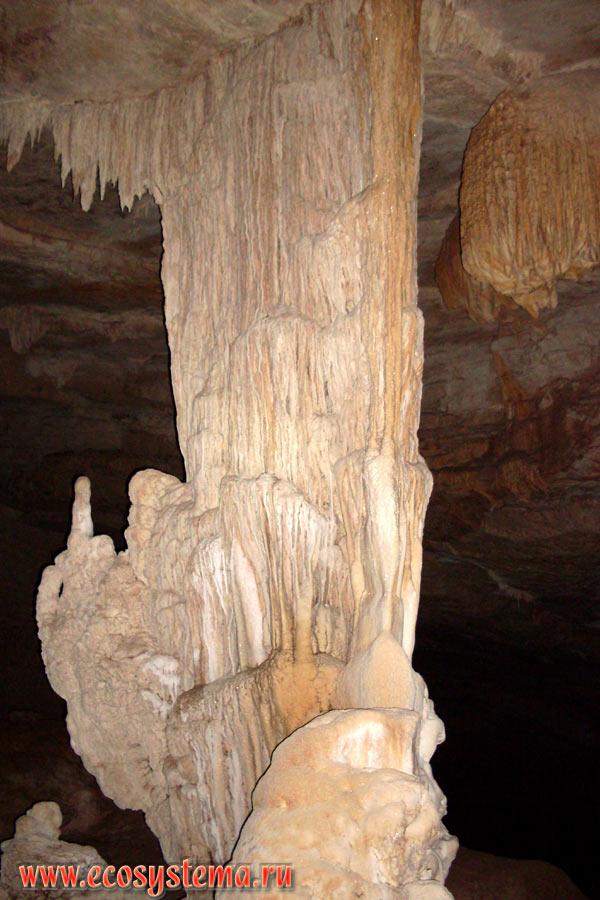 Сросшиеся сталактит (сверху) и сталагмит (снизу), образовавшие известковую колонну - сталагнат, или сталактон в Крокодиловой пещере (Crocodile Cave) на севере острова Тарутао