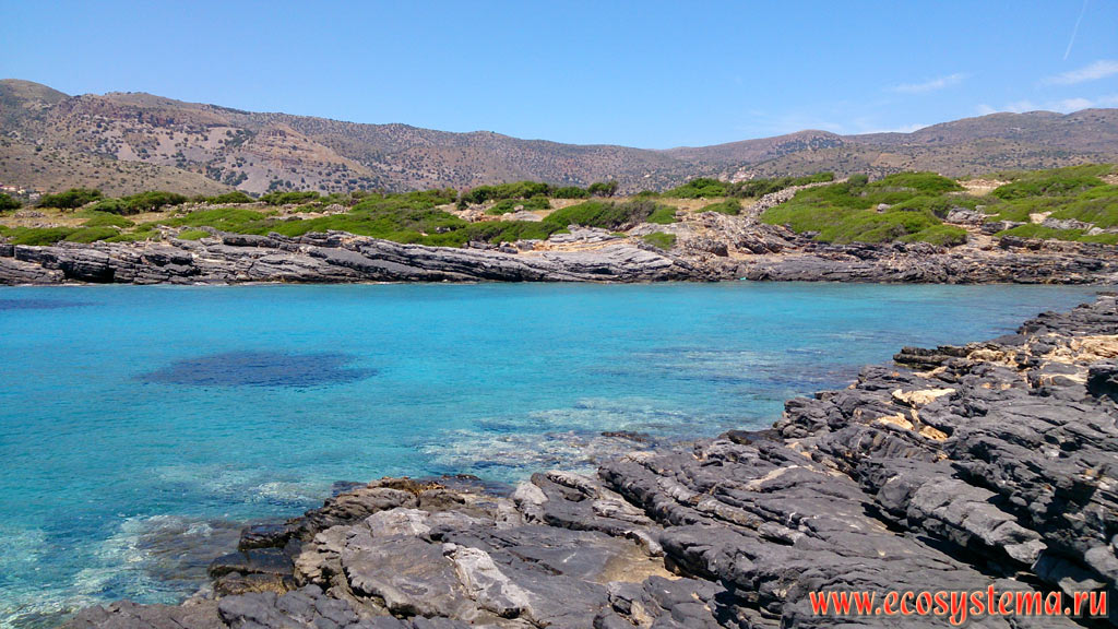 Глубокий залив (бухта) Средиземного (Критского) моря с абразионным берегом и ярко-голубой водой на побережье острова Крит со средневысотными горами, покрытыми фриганой и шибляком