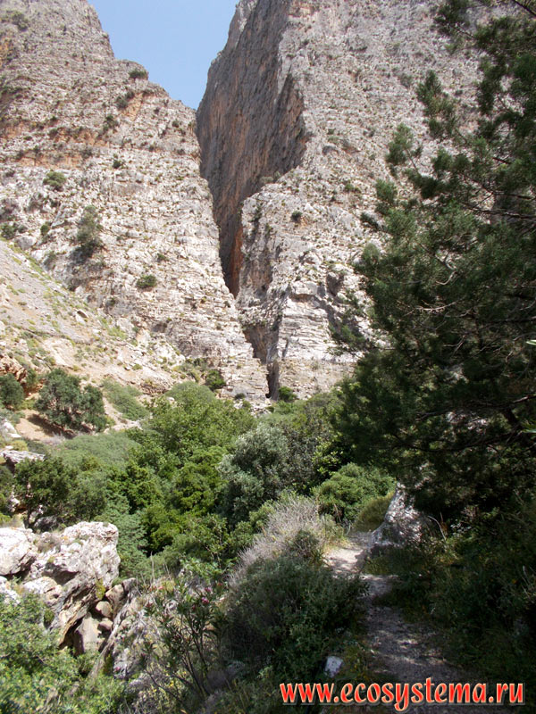 Ущелье Ха (Ha Gorge) в его нижней части (выход из ущелья) на склонах гор Трипти (Thrypti mountains) в восточной части острова Крит