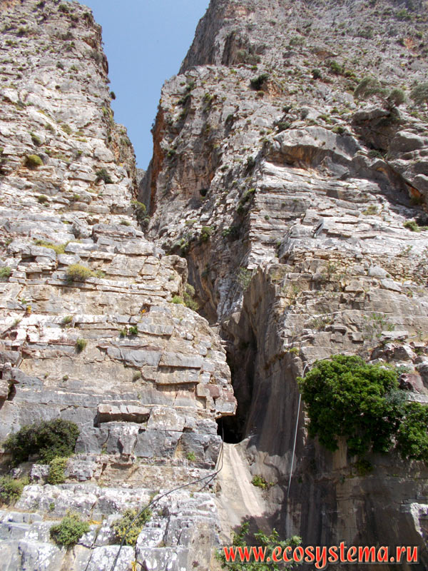 Ущелье Ха (Ha Gorge) в его нижней части (выход из ущелья) на склонах гор Трипти (Thrypti mountains)
