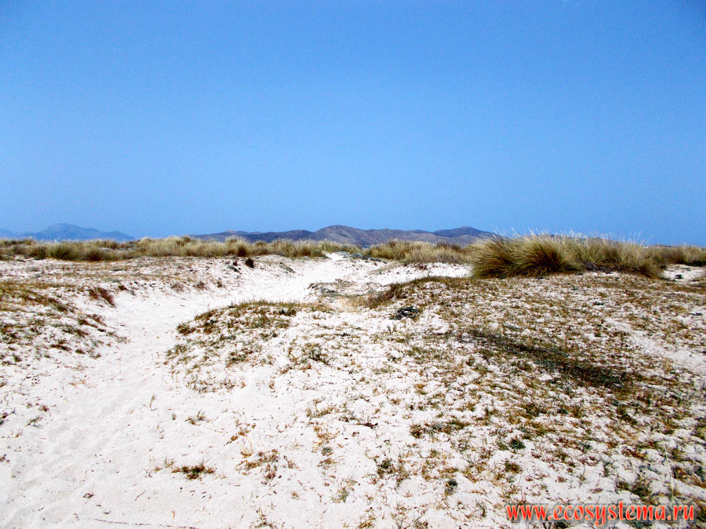 Sand dunes on the Aegean Sea coast, with the island of Pserimos in the background