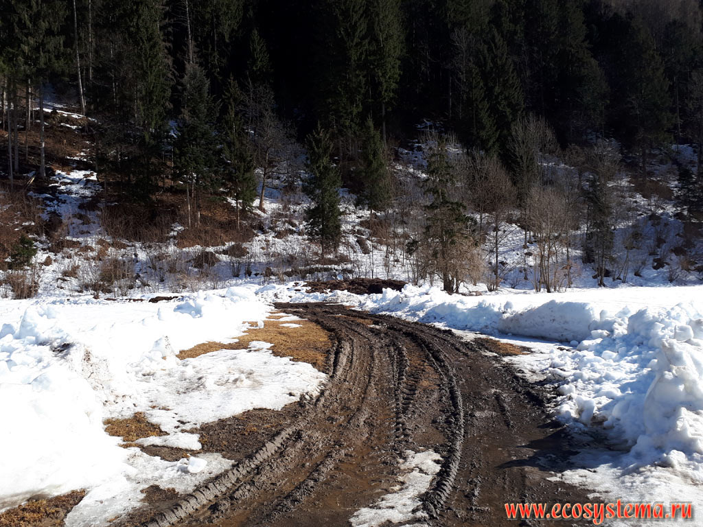 Rural dirt road in the valley of the river of Val Genova on the outskirts of the town of Pinzolo in the vicinity of the ski resort Madonna di Campiglio, Trento province, Northern Italy.