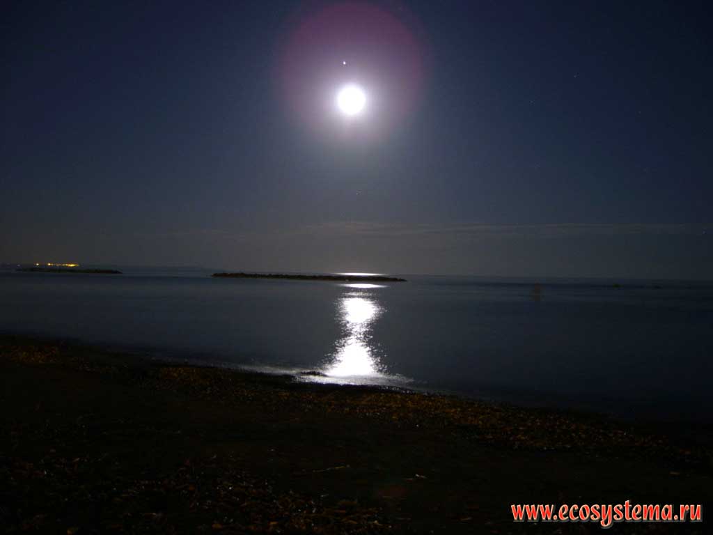 Moonlit night in Larnaka.