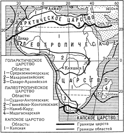 Флористическое районирование Африки (по А. Л. Тахтаджяну)