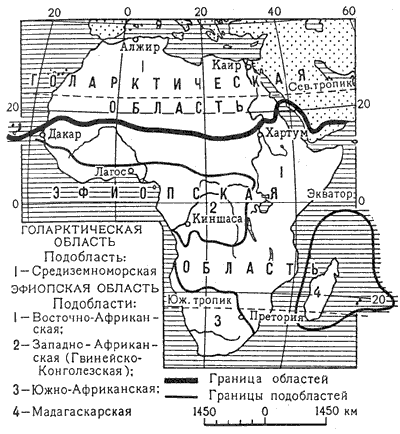 Зоогеографическое районирование Африки
