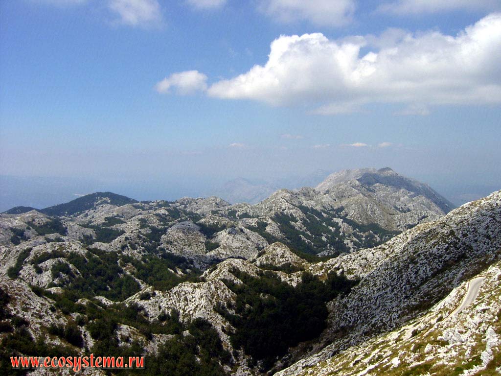 Biokovo mountains peaks. Forest zone border at 1100 meter above sea level