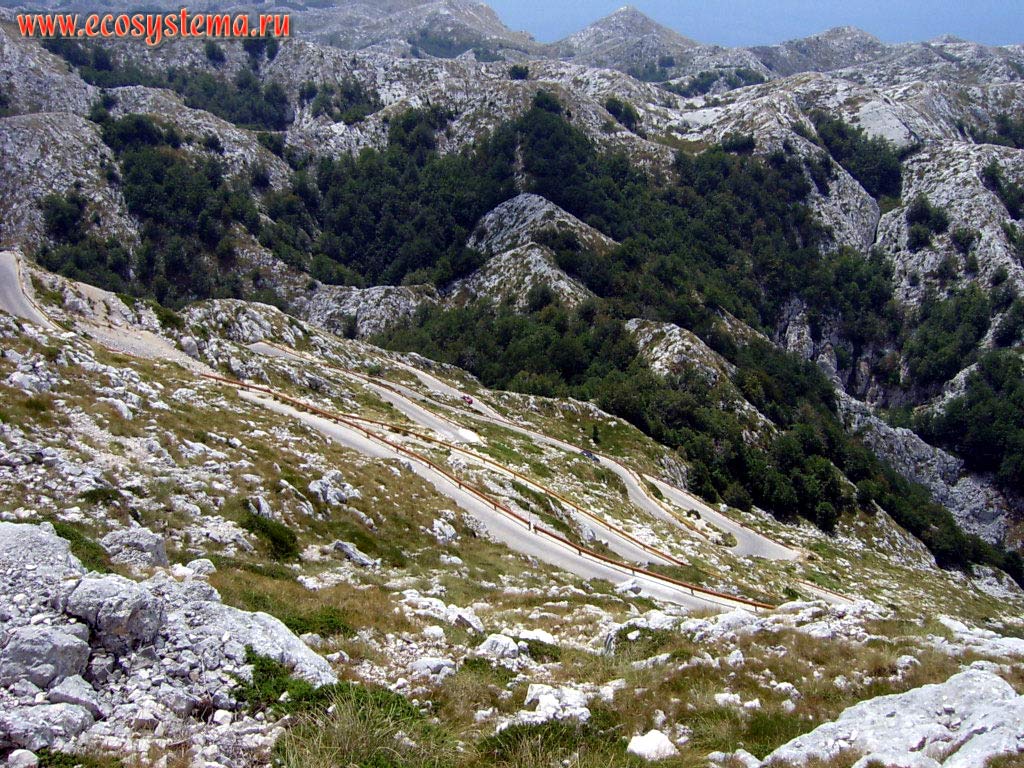 Горная дорога на вершину горы Святого Юрия (высшая точка горного массива Биоково). Карровые поля - голый, или средиземноморский карст.
Национальный парк Биоково, Средиземноморье, Балканский полуостров, Средняя Далмация, Хорватия