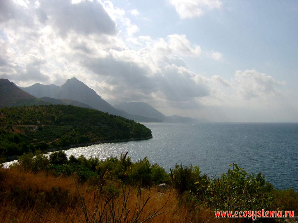 South Dalmacian coastal landscape near Gradac