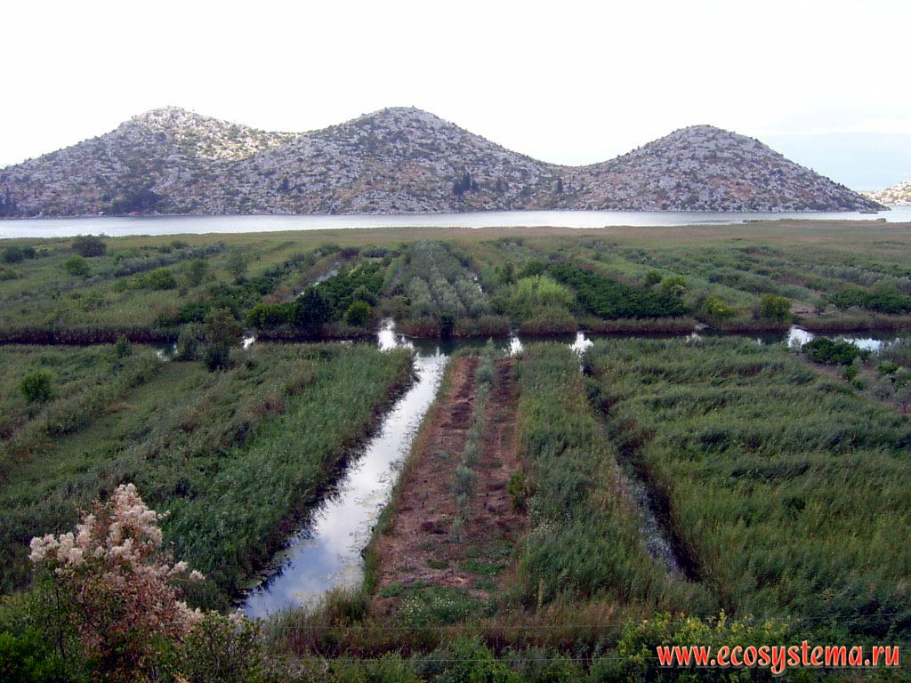Irrigated agricultural area at Neretva river delta