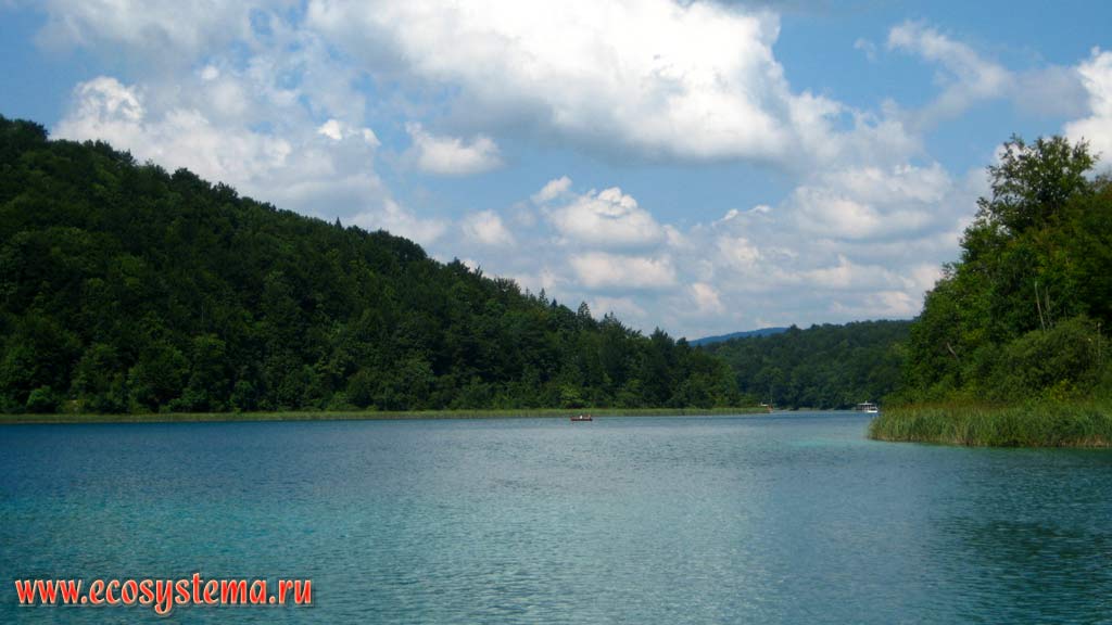 Река Корана, вытекающая из Плитвицких озер. Национальный парк Плитвицкие озера, Балканский полуостров, Северная Далмация, Хорватия