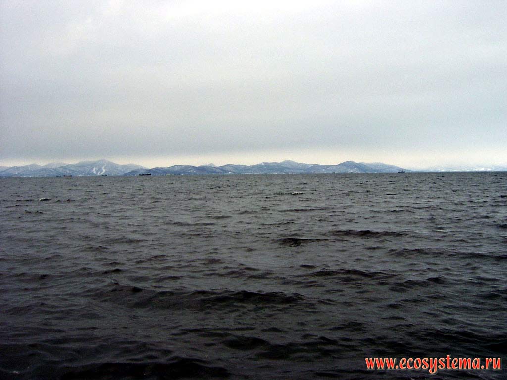 Avachinskaya Bay in winter.